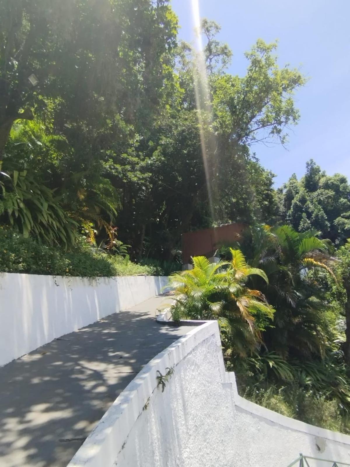 Casa Das Luzes Hostel Ivn Rio de Janeiro Dış mekan fotoğraf